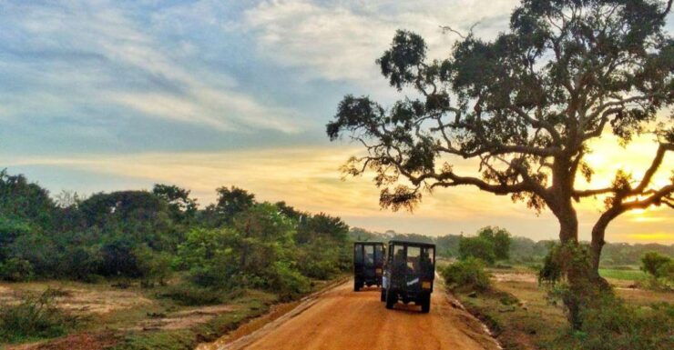 Mirissa/Weligama: Private Half-Day Leopard Safari in Yala - Transportation and Logistics