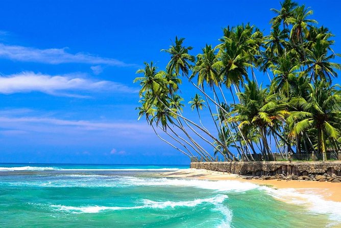 Mirissa/Weligama to Colombo Airport Private Taxi Transfer - Reviews
