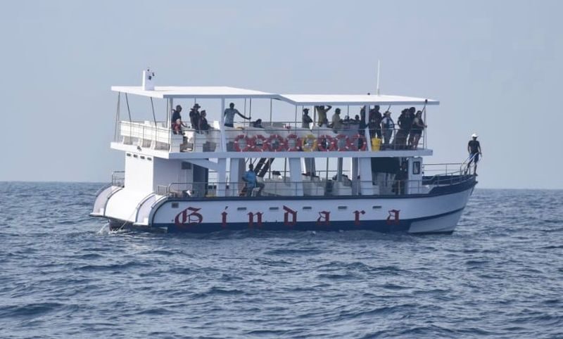 Mirissa: Whale & Dolphin Watching Cruise with Geeths Crew - Dawn at Mirissa Fisheries Harbour
