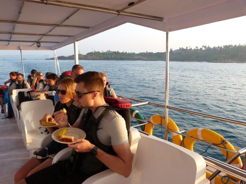 Mirissa: Whale & Dolphin Watching Cruise with Geeths Crew - Should You Book Geeth’s Mirissa Cruise?