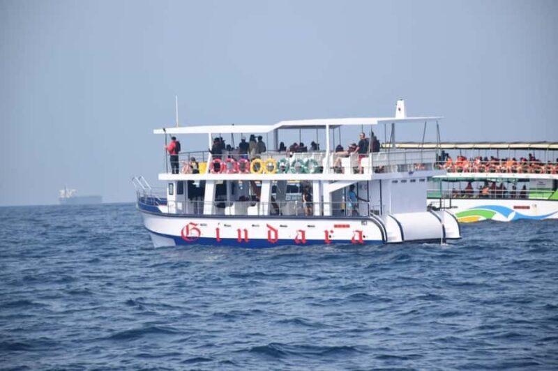 Mirissa: Whale & Dolphin Watching Cruise with Geeths Crew - Good To Know