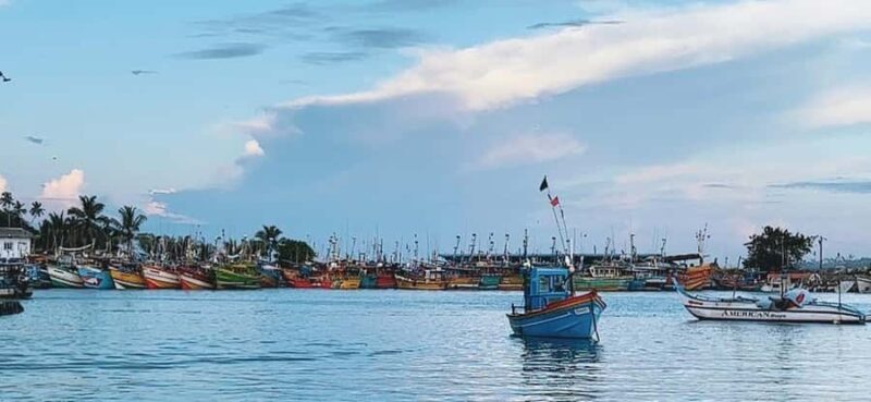 Mirissa: Whale & Dolphin Watching Cruise with Geeths Crew - Pricing & Value