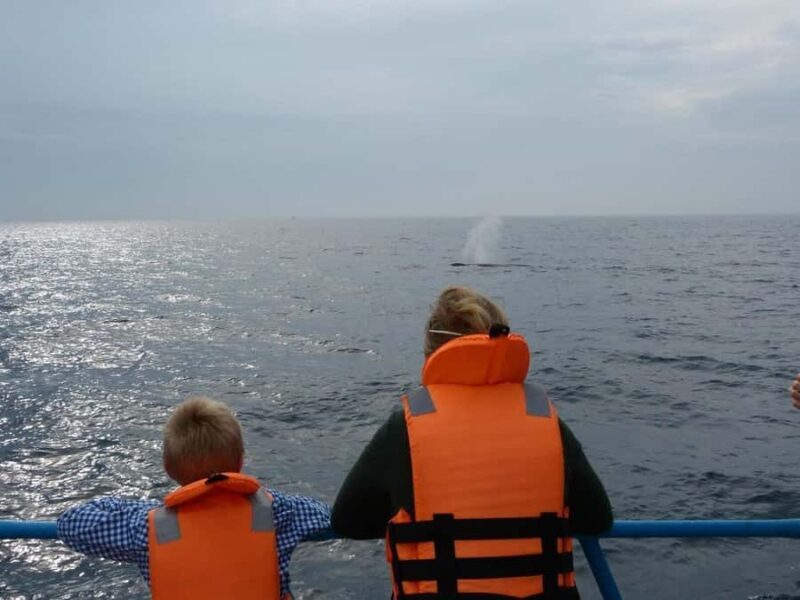 Mirissa: Whale & Dolphin Watching Cruise with Geeths Crew - FAQ