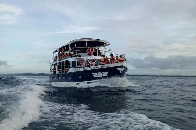 Mirissa Whale-Watching Boat Trip  - Galle - Pickup and Logistics