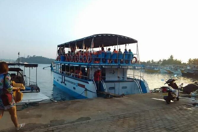 Mirissa Whale-Watching Boat Trip  - Galle - Reviews