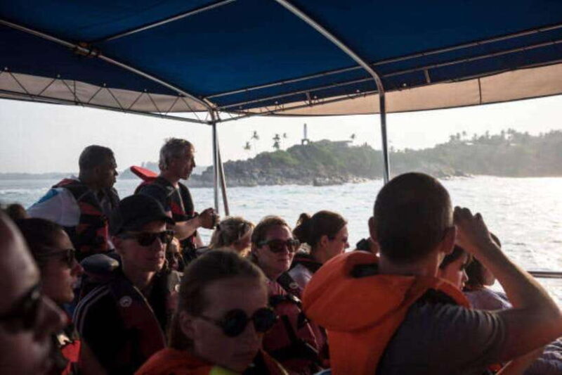 Mirissa: Whale Watching Cruise - The Experience from a Traveler’s Perspective