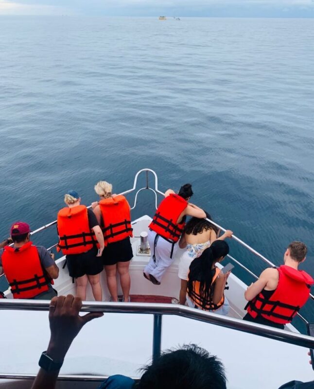 Mirissa: Whale Watching Cruise With Blue Whales & Dolphins - What you may see, and what you cannot control