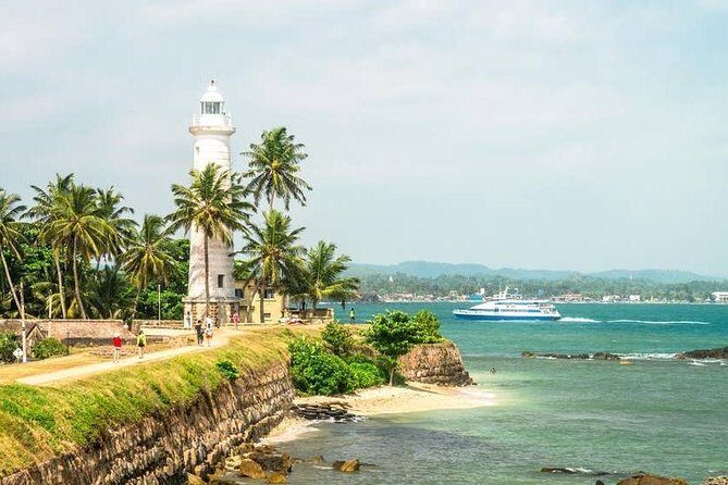 Mirissa Whale watching, Stilt Fishing & Turtle Tour From Colombo - An In-Depth Look at the Tour Experience