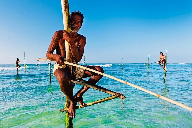 Mirissa Whale watching, Stilt Fishing & Turtle Tour From Colombo - Who Should Consider This Tour?