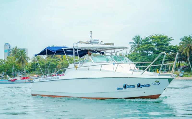 Mirissa Whale Watching Super Luxury Speedboat Private Trip - Good To Know