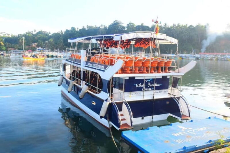 Mirissa: Whale Watching Tour - Introduction