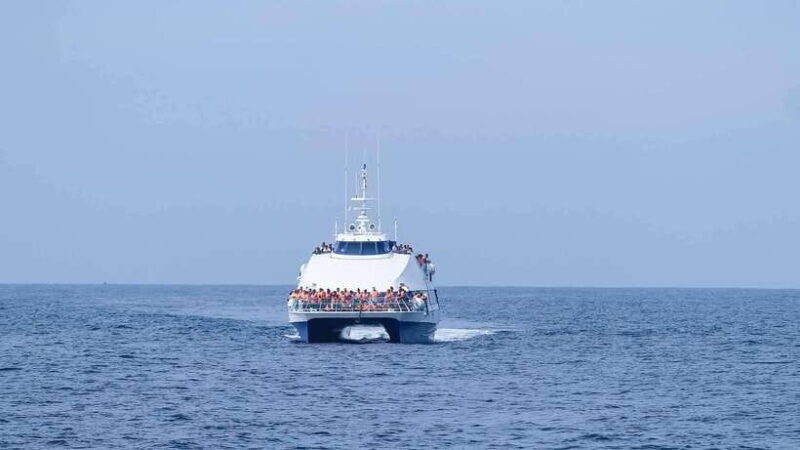 Mirissa: Whale Watching Tour From Colombo or Negombo - Detailed Breakdown of the Itinerary