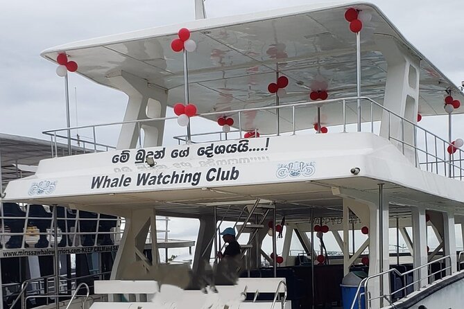 Mirissa Whale Watching Tour (Yacht) From Colombo With Breakfast - Good To Know