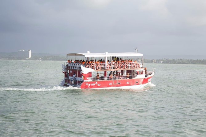 Mirissa Whale-Watching Trip With Pickup, Breakfast, and Wi-Fi  - Galle - Whale-Watching Trip Highlights