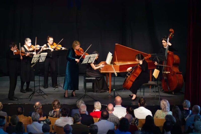 Mirow: Classical concerts at Mirow Castle - Who Should Consider This Tour?