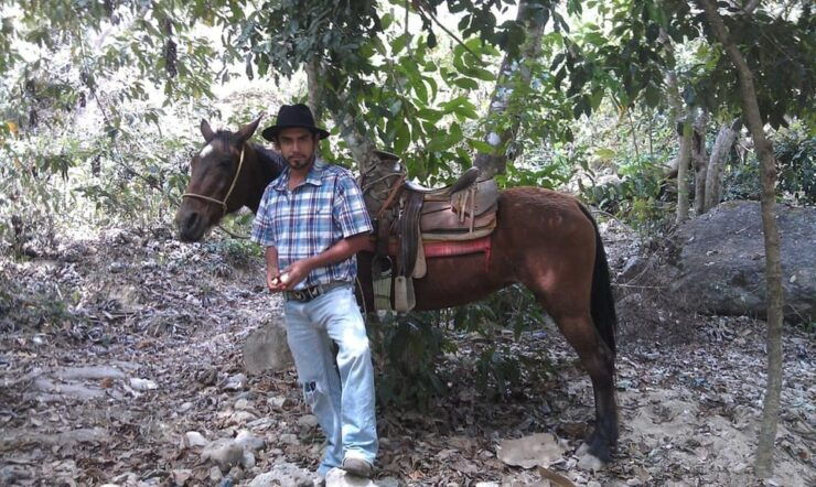Mismaloya Jalisco: Rancho Manolo Horseback Tour - Activity Highlights