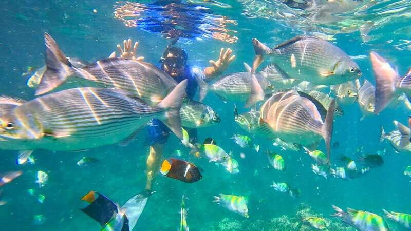 Mismaloya: Snorkeling, Cliff Jumping, and Beach Tour - Mismaloya: Snorkeling, Cliff Jumping, and Beach Tour — A Genuine Adventure in Jalisco