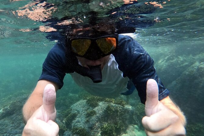 Mismaloya Snorkeling Tour 1Hr Private - Safety Precautions