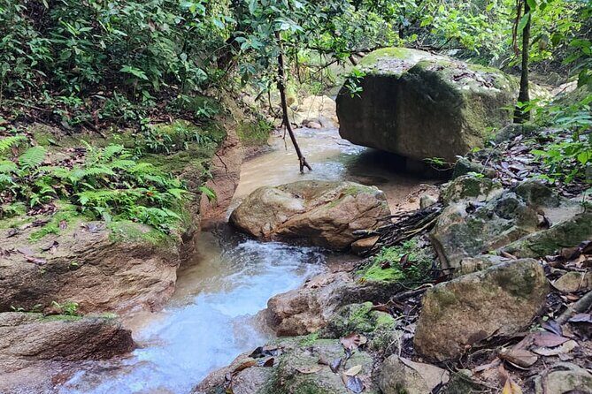 Mismaloya Waterfalls Private Tour in Puerto Vallarta - Practical Details and Logistics