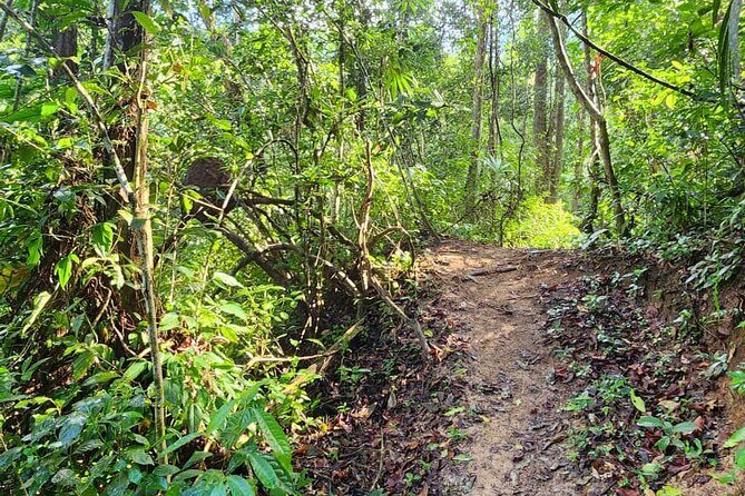 Mismaloya Waterfalls Private Tour in Puerto Vallarta - Authenticity and Insider Tips