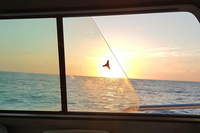 Mission Bay Private Sunset Cruise  - San Diego - Sunset Cruise Details