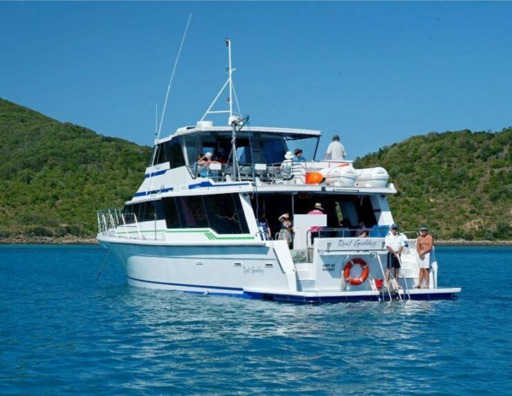 Mission Beach: Great Barrier Reef Snorkel or Dive Cruise - Snorkel or Dive Experience