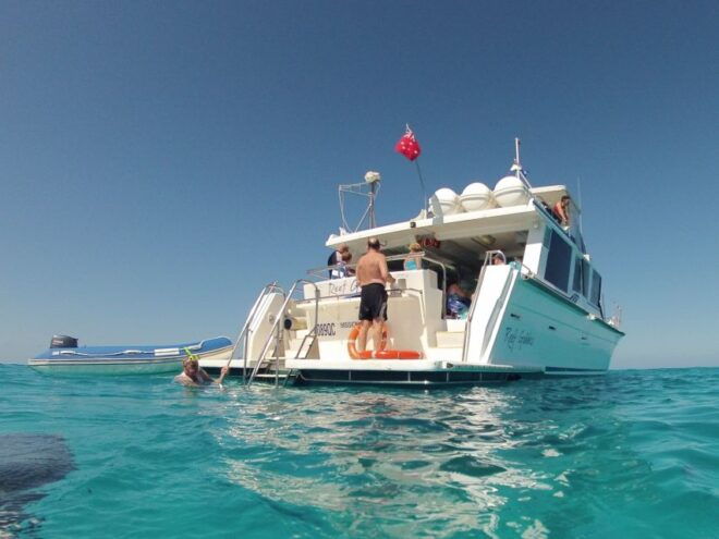 Mission Beach: Great Barrier Reef Snorkel or Dive Cruise - Selecting Participants and Date