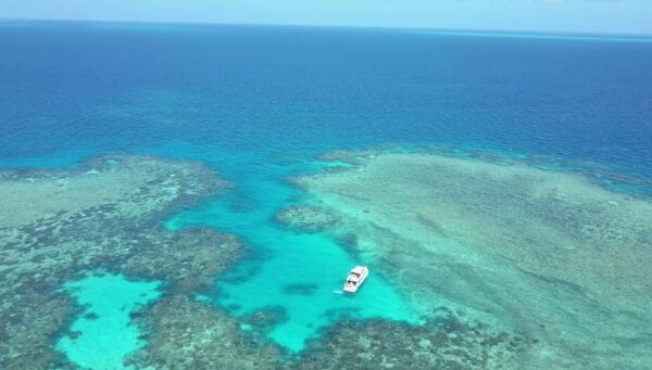 Mission Beach: Great Barrier Reef Snorkel or Dive Cruise - Review Summary