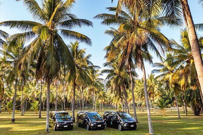 Mission Beach to Cairns ONE WAY Private Transfer 6 pax - The Scenic Drive: What You Might Expect