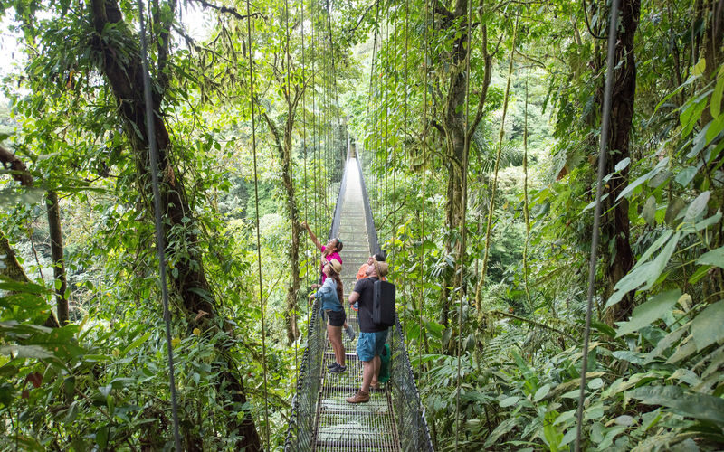 Mistico Arenal Hanging Bridges Park Ticket in La Fortuna - At a glance