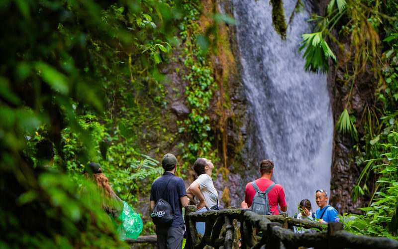 Mistico Arenal Hanging Bridges Park Ticket in La Fortuna - What the Mistico ticket gets you