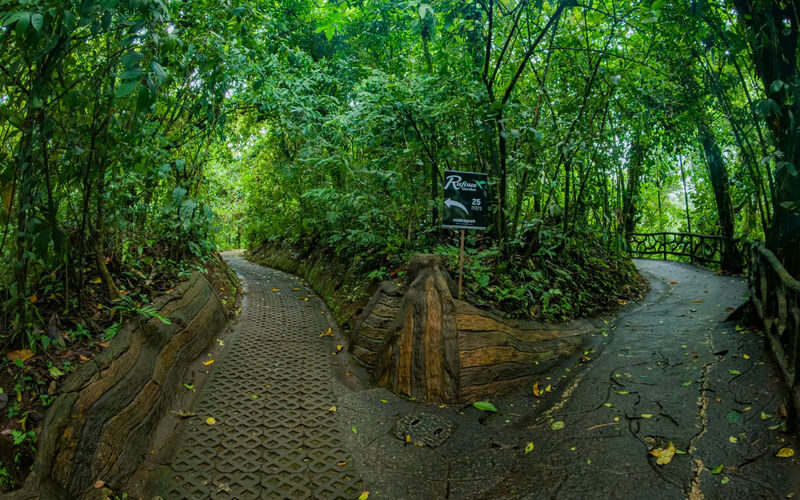 Mistico Arenal Hanging Bridges Park Ticket in La Fortuna - Arenal views and wildlife watching