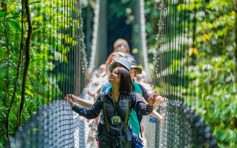 Mistico Arenal Hanging Bridges Park Ticket in La Fortuna - Why an early start helps
