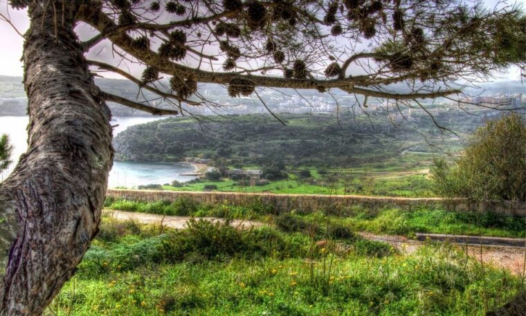 Mistra Valley and Selmun Private Nature Tour with Transport - What’s Included and What to Consider