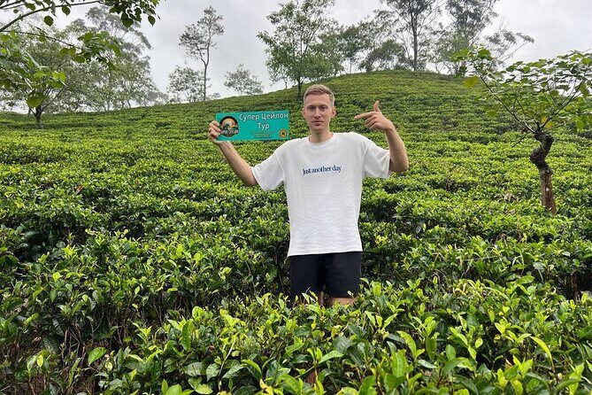 Misty Escapes From Colombo to Dreamy Hills of Ella - The Sum Up