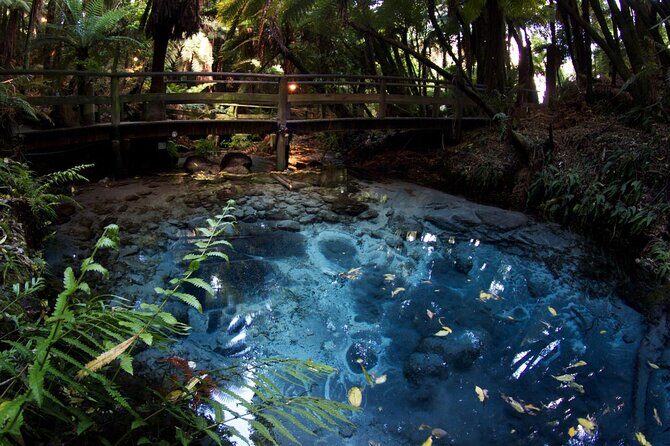 Mitai Maori Village,Waiotapu Thermal Wonderland& Redwood Treewalk - A Complete Look at the Itinerary