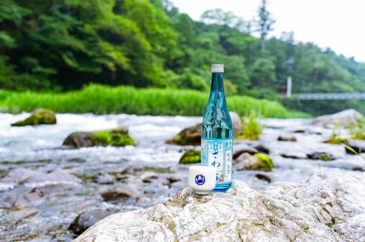 Mitake Ravine Hiking, Sake, and Art Tour - Good To Know