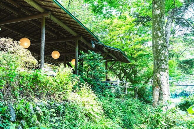 Mitake Ravine Hiking, Sake, and Art Tour - Gyokudo Art Museum