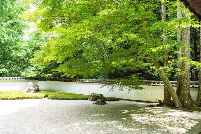 Mitake Ravine Hiking, Sake, and Art Tour - Participant Guidelines