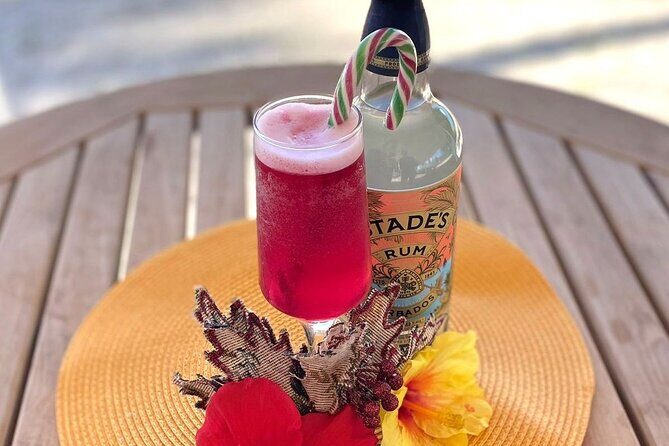 Mixology Class in Bridgetown  10 Minutes from Cruise Terminal - Good To Know