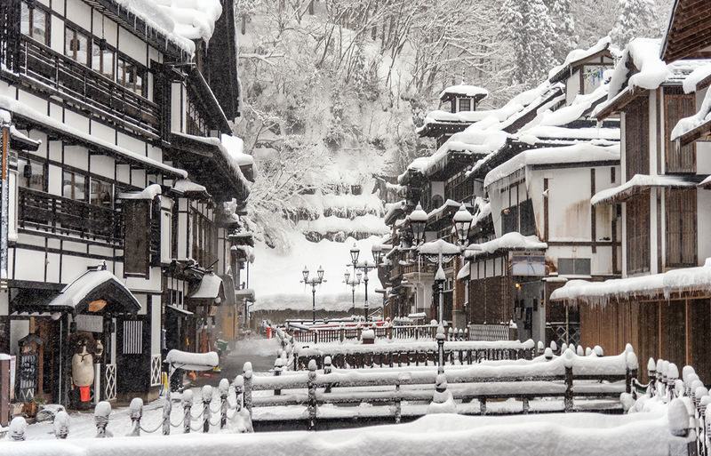 Miyagi Ginzan Onsen and Fox Village Full-Day Interactive Tour - Transport and guiding: the part to check carefully