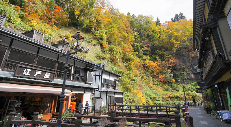 Miyagi Ginzan Onsen and Fox Village Full-Day Interactive Tour - Who will enjoy this tour most