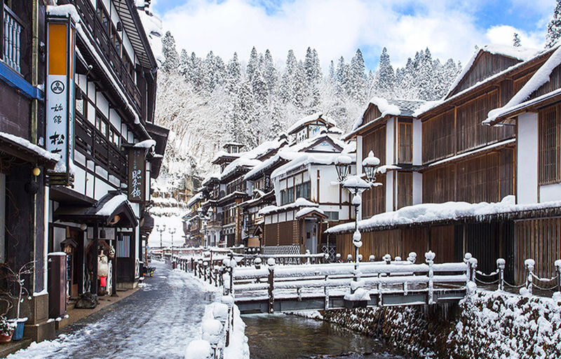 Miyagi Ginzan Onsen and Fox Village Full-Day Interactive Tour - Should you book it?