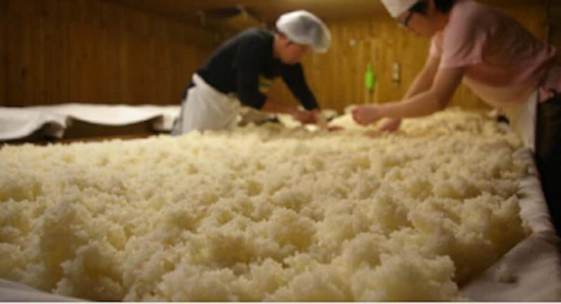 Miyagi: Hagino Sake Brewery Tour and Tasting - Final Thoughts