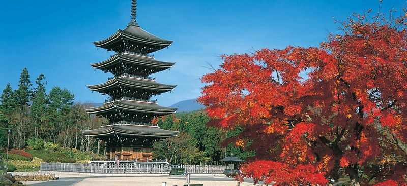 Miyagikyo Distillery & Jogi Nyorai Saihoji Temple & Falls Day Trip - A day out from Sendai, not a day spent in Tome