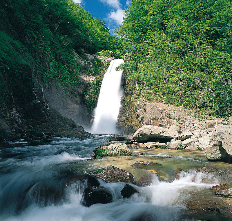Miyagikyo Distillery & Jogi Nyorai Saihoji Temple & Falls Day Trip - Nikka’s Sendai whisky factory starts the day