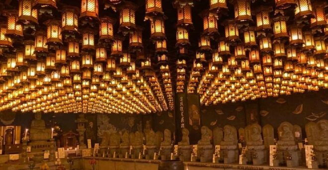 Miyajima: Experience Japanese Spiritual Culture at Daisho-In - Highlights of the Journey