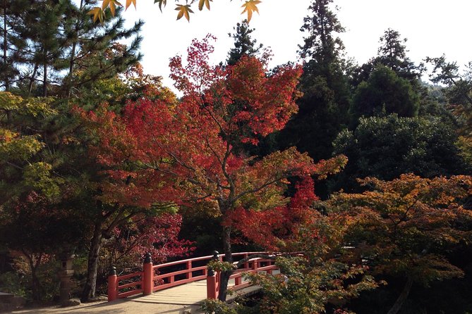 Miyajima Full Day Tour - Meeting and Pickup