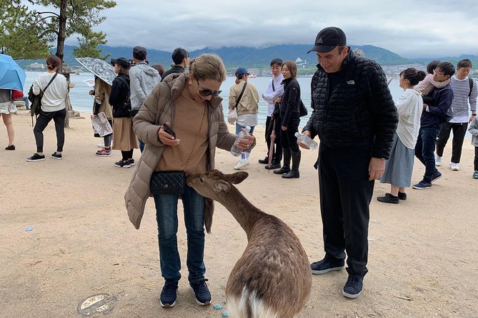 Miyajima Half-Day Private Tour With Government Licensed Guide - Pickup Details and Transportation Options