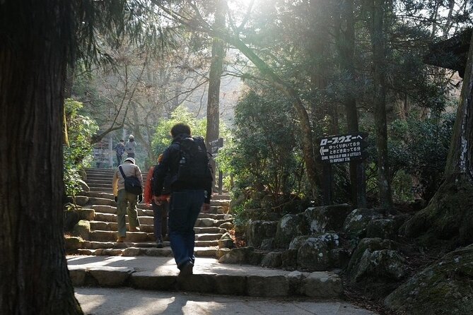 Miyajima Island Tour With Certified Local Guide - The Sum Up